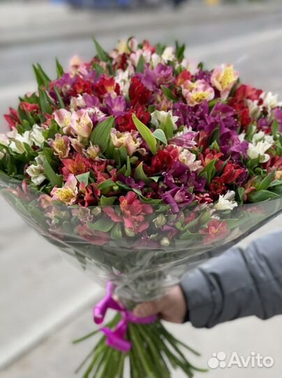 Цветы шарики розы букеты алистрамерия Хризантема