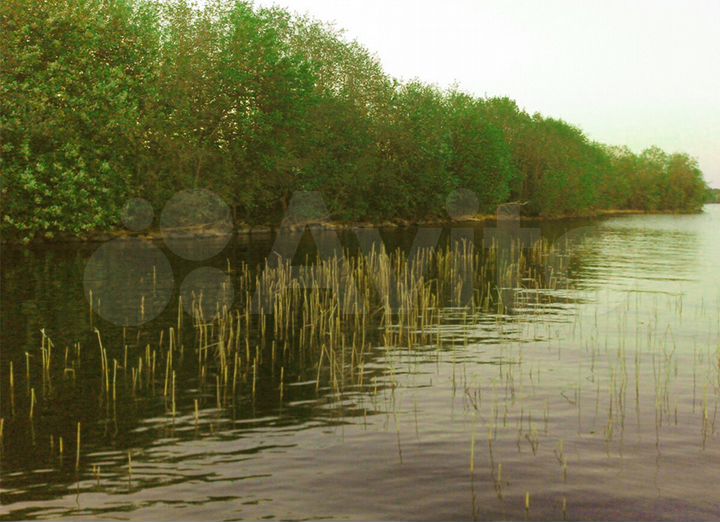 Участок 100 сот. (ИЖС)