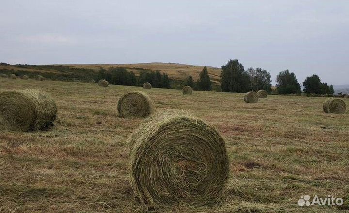 Пресс-подборщик Бежецксельмаш ПР-120, 2023