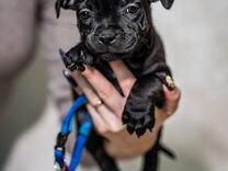 календарь на следующий год. 30 окт 2023. 30 окт 2023. календарь планер ноябрь 2022. новогодний календарь на декабрь.