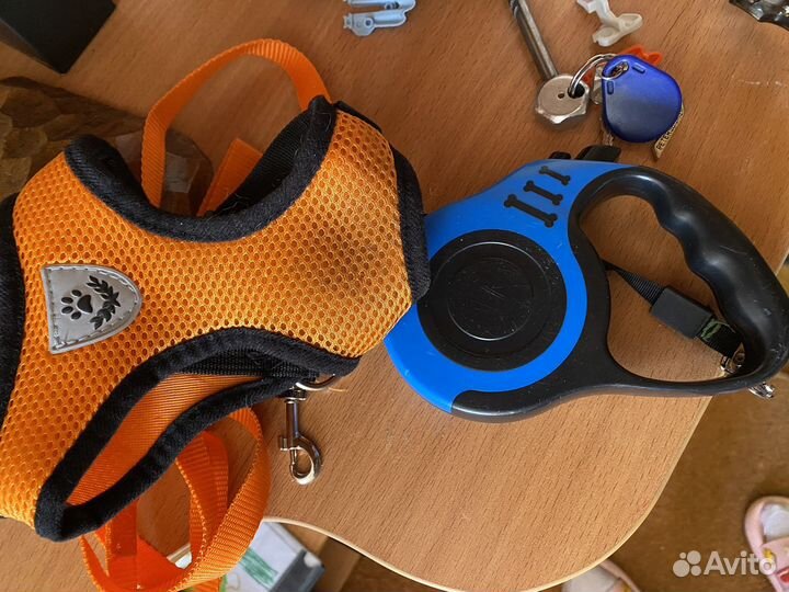 Поводок и шлейка для собаки