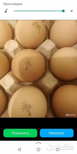Продам инкубационное яйцо
