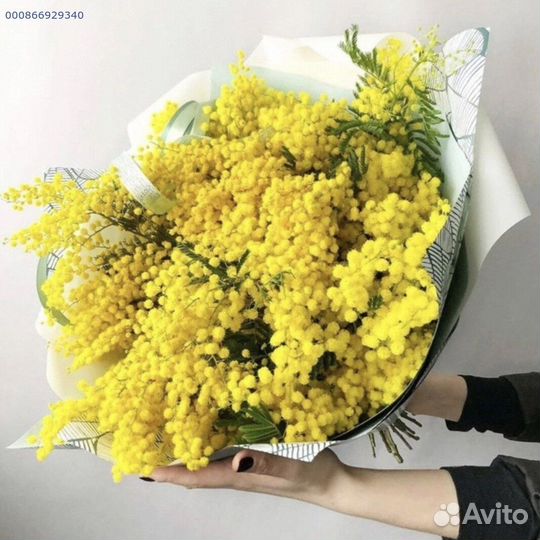 Букеты из мимозы (Арт.14604)