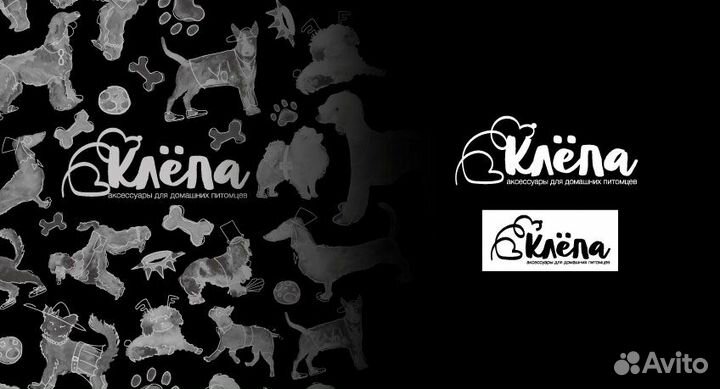 Графический дизайнер / Логотипы, карточки