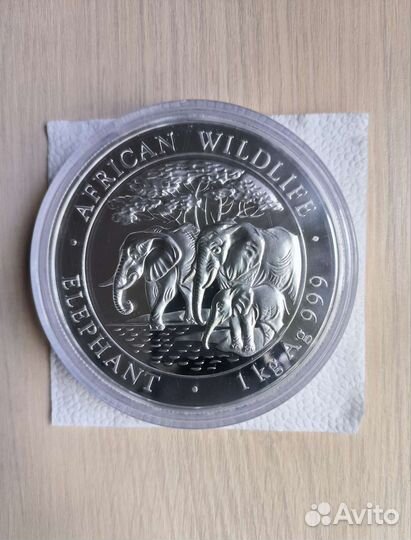 Серебряная инвестиционная монета в капсуле 1 кг