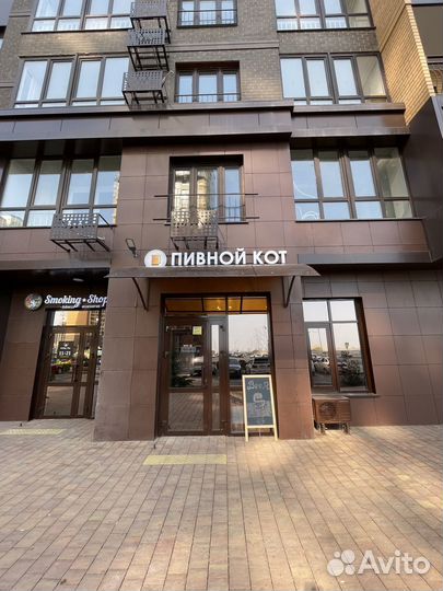 Готовый бизнес бар пивной кот