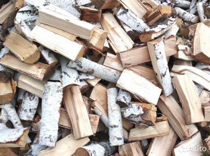 Дрова береза