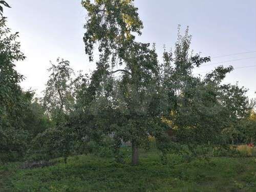 Дача 20 м² на участке 6 сот.