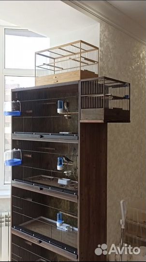 Большая клетка для птиц