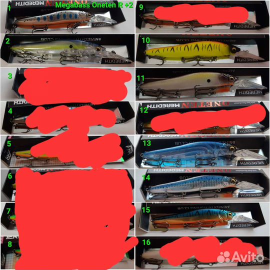 Bearking, Imakatsu, Megabass,Jackall, DUO