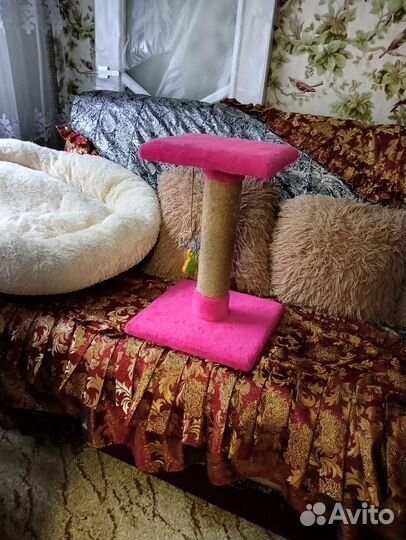 Когтеточка