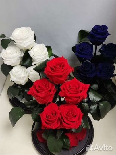 Подарок на новый год / Цветы