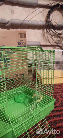 Клетка для джунгарика