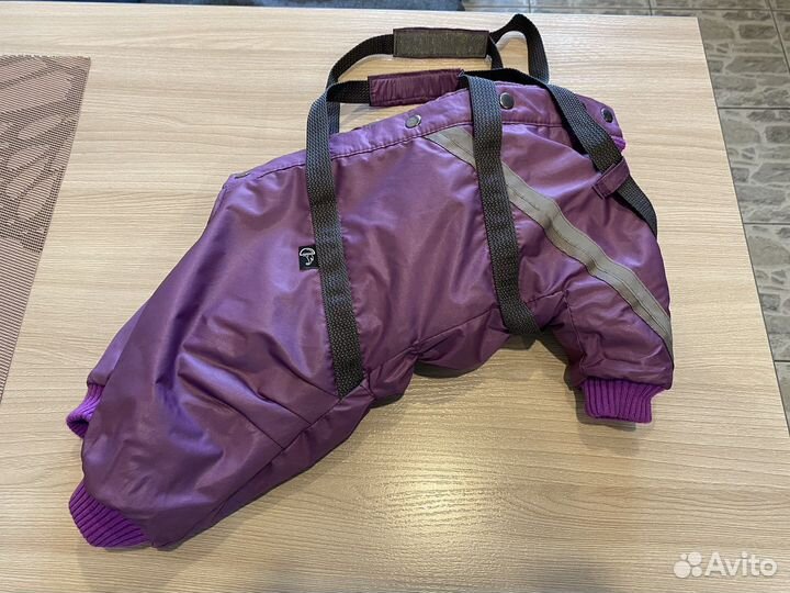 Комбинезон для маленькой собаки