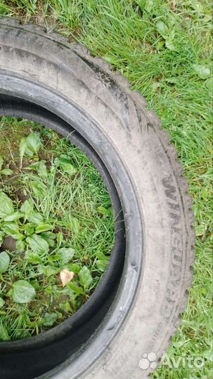 Roadstone Winguard Spike 225/50 R17