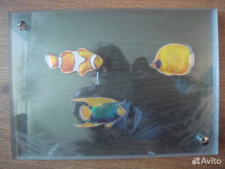 Иностранные монеты серебро пруф - рыбы. Торг