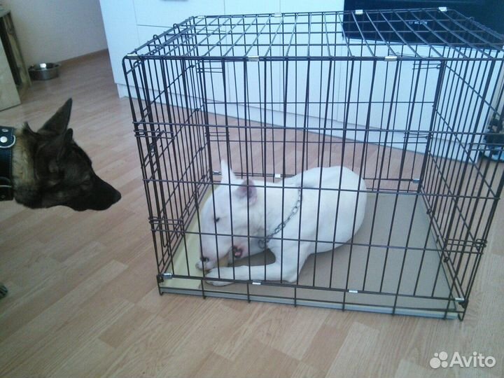 Клетка для собак №4