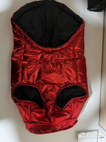 Одежда для собак