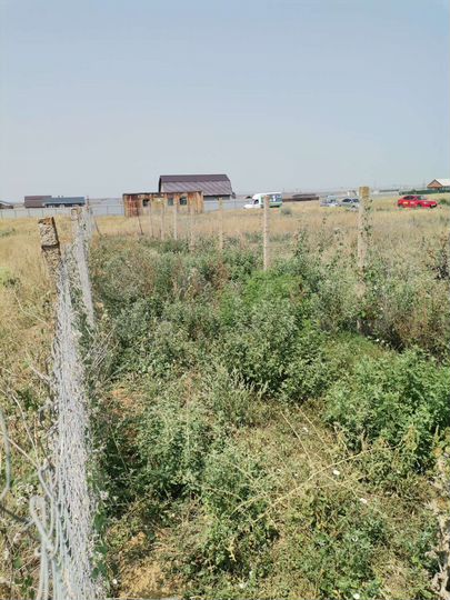 Участок 5,3 сот. (ИЖС)