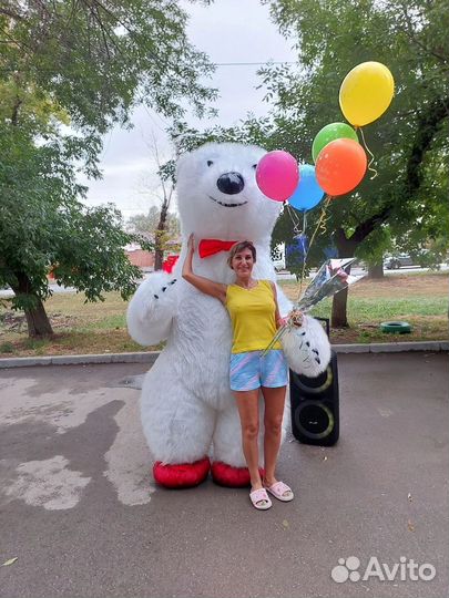 Белый Мишка Самара