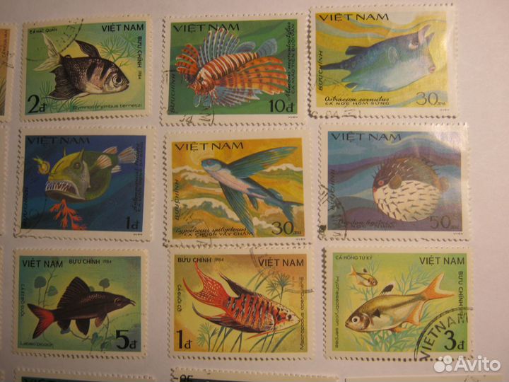 Серия марок Рыбы