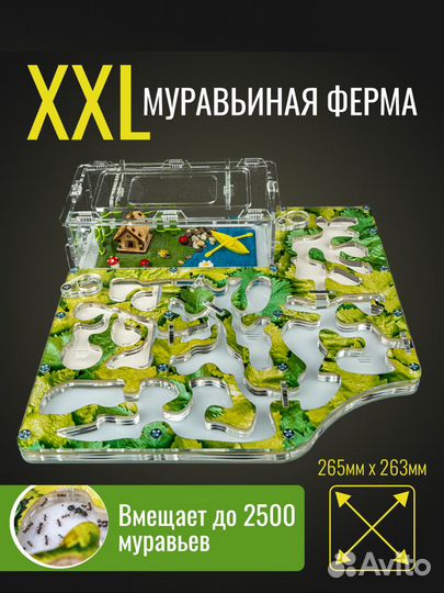 Муравьиная Ферма Макси - Зелёная Формикарий