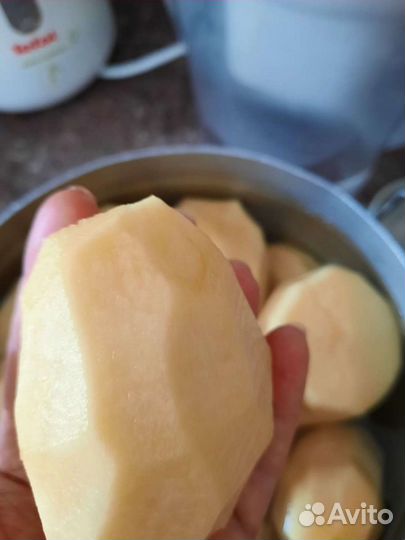 Семенной картофель славянка