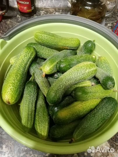 Огурчики домашние, чеснок