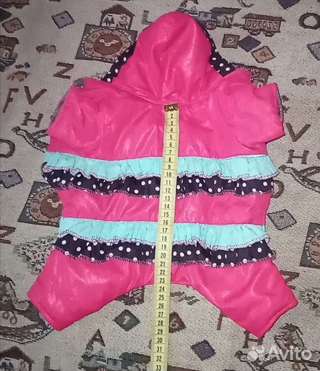 Одежда для собак и лоток кошке