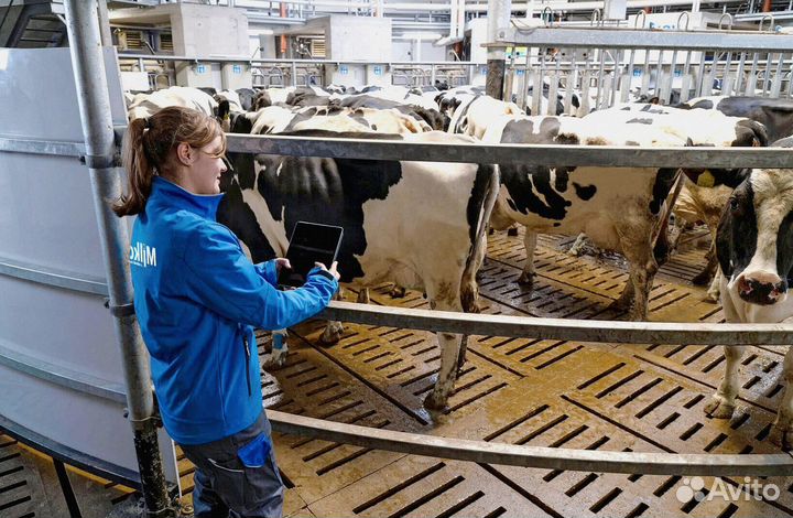 Доильный аппарат для крс