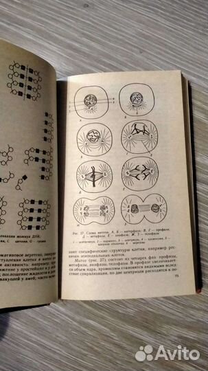 Биология для поступающих в вузы