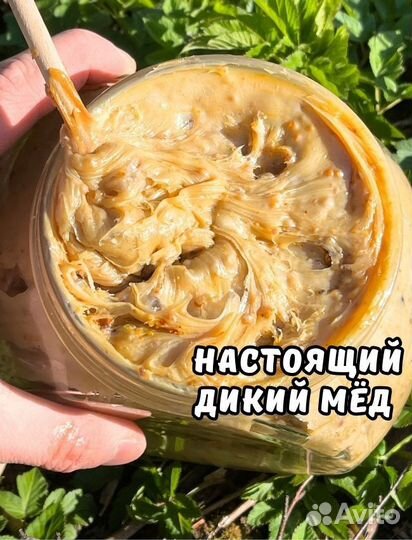Дикий бортевой мед + доставка и 2 меда в подарок