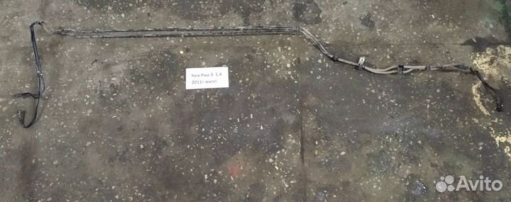 Kia Rio 3 седан МКПП топливная система