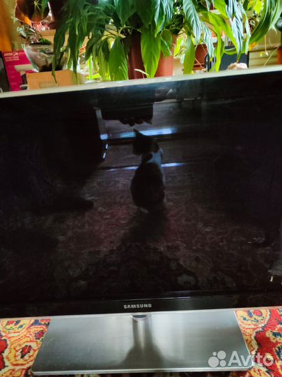 Телевизор Samsung