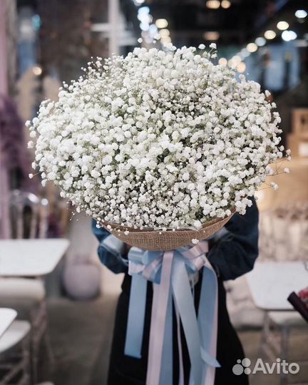 Гипсофила в моно и микс букетах