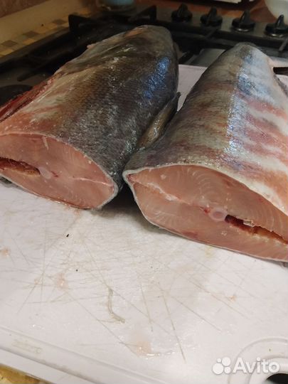 Рыба свежемороженая