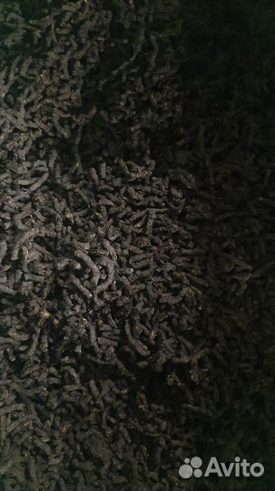 Иван чай оптом ферментированный