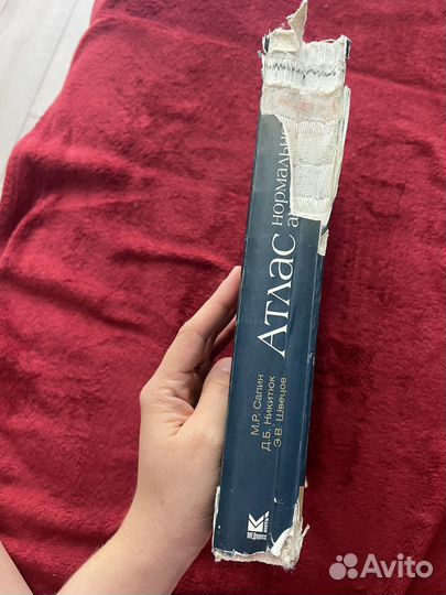 Атлас анатомии человека Сапин