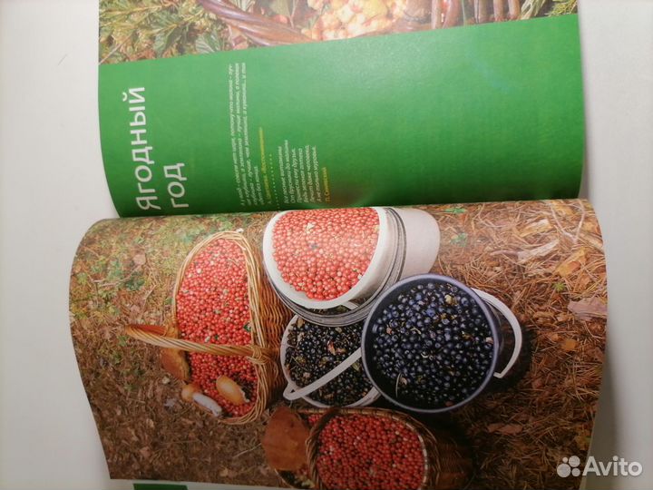 Книга. Лечебные рецепты