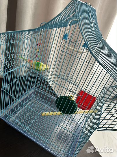 Клетка для волнистого попугая