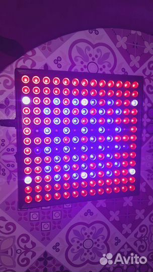 Фитопрожектор (фитолампа) для растений 50 Вт