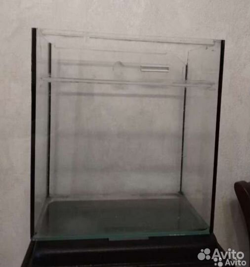 Аквариум, рыбки