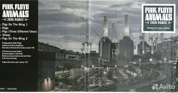 Pink floyd