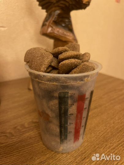 Royal Canin Golden Retriver Adult Голден-Ретривер