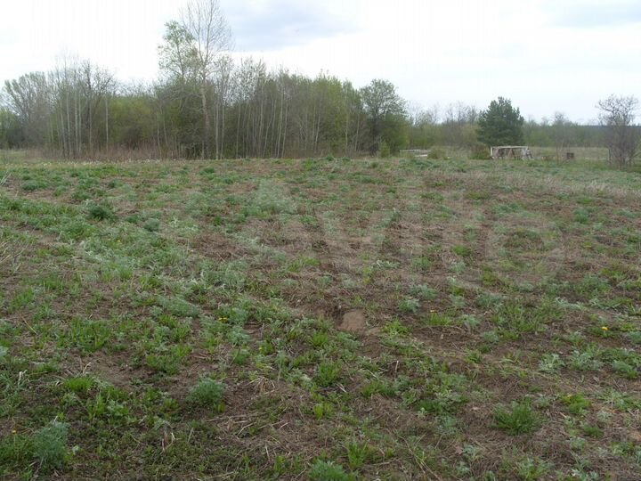 Участок 11,5 сот. (ИЖС)