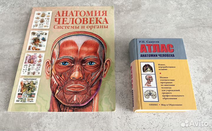 Анатомия человека