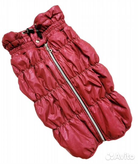 Одежда для собак крупных пород