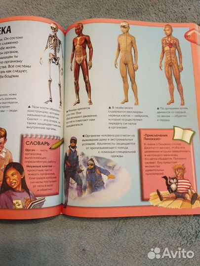 Энциклопедия для детей