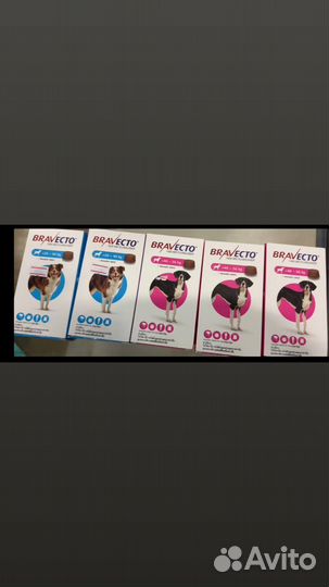 Мясо бычьего корня. Мясо для собак