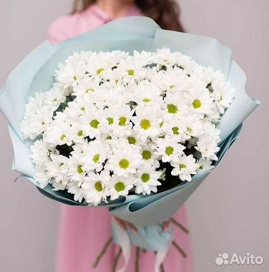 Хризантема Доставка цветов Букеты